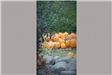 Pumpkins