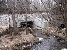 Creek Following Construction