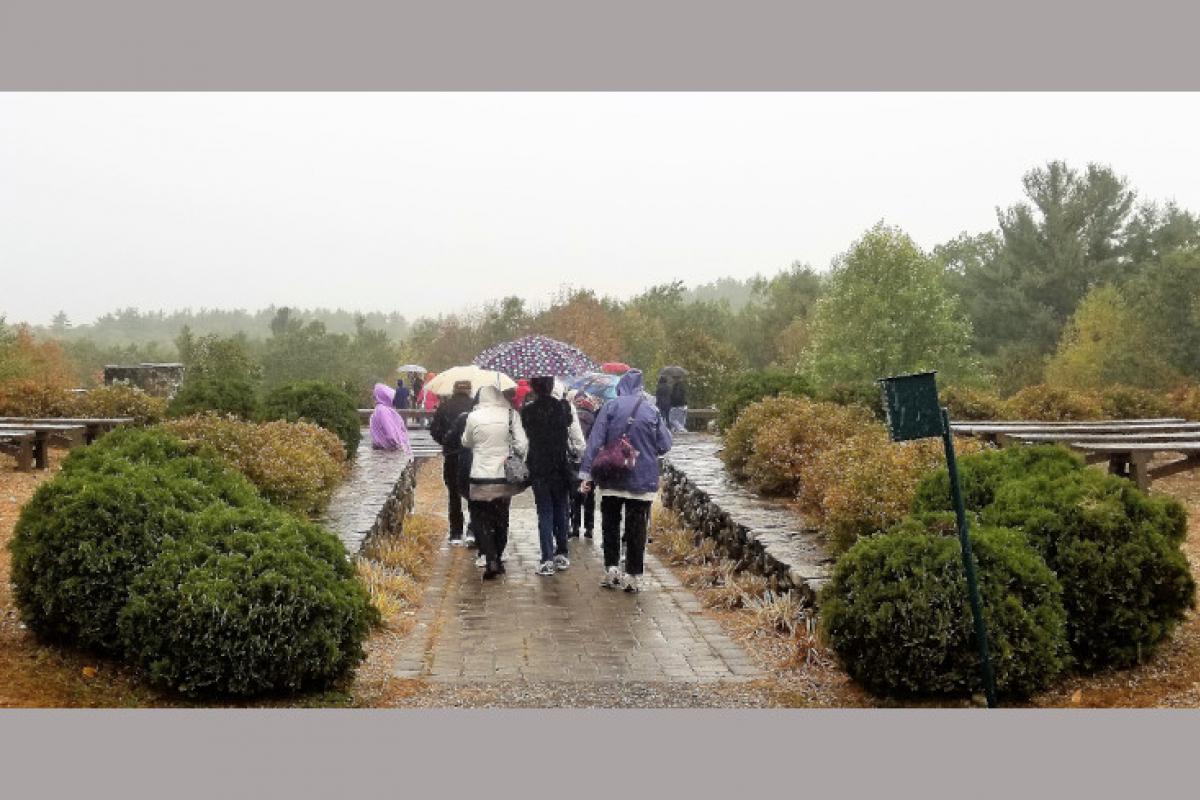 Group Walking Outside in the Rain