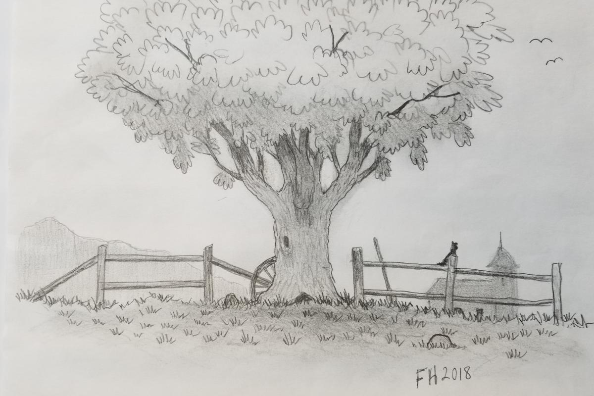 Drawing of a Tree