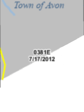 0381EE image to download pdf of FIRM Panel