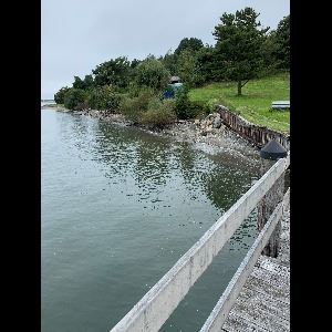 DCR Grape Island Image